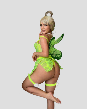 Disfraz tinkerbell DG