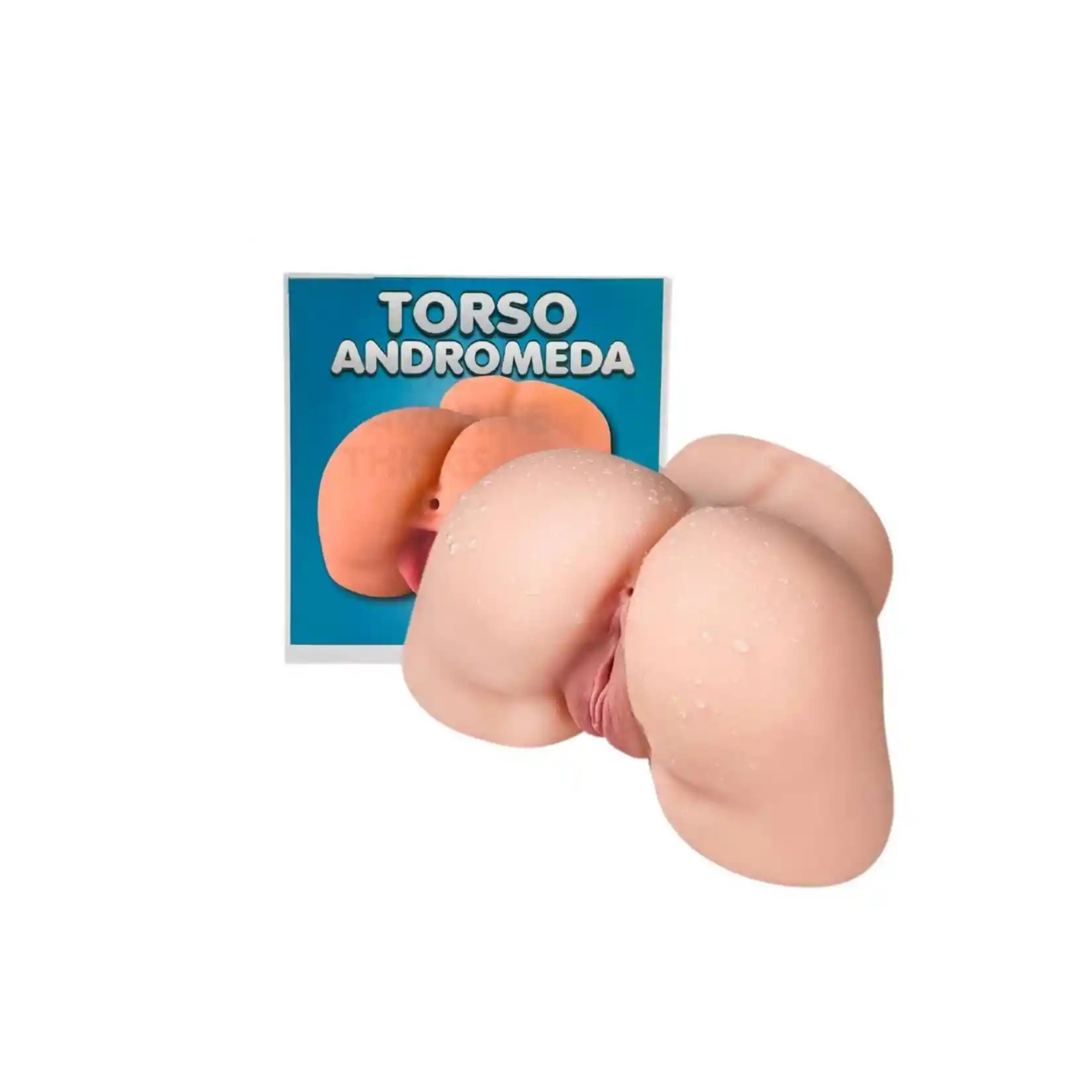 Torso Femenino Andrómeda 1 Torso Femenino Andrómeda